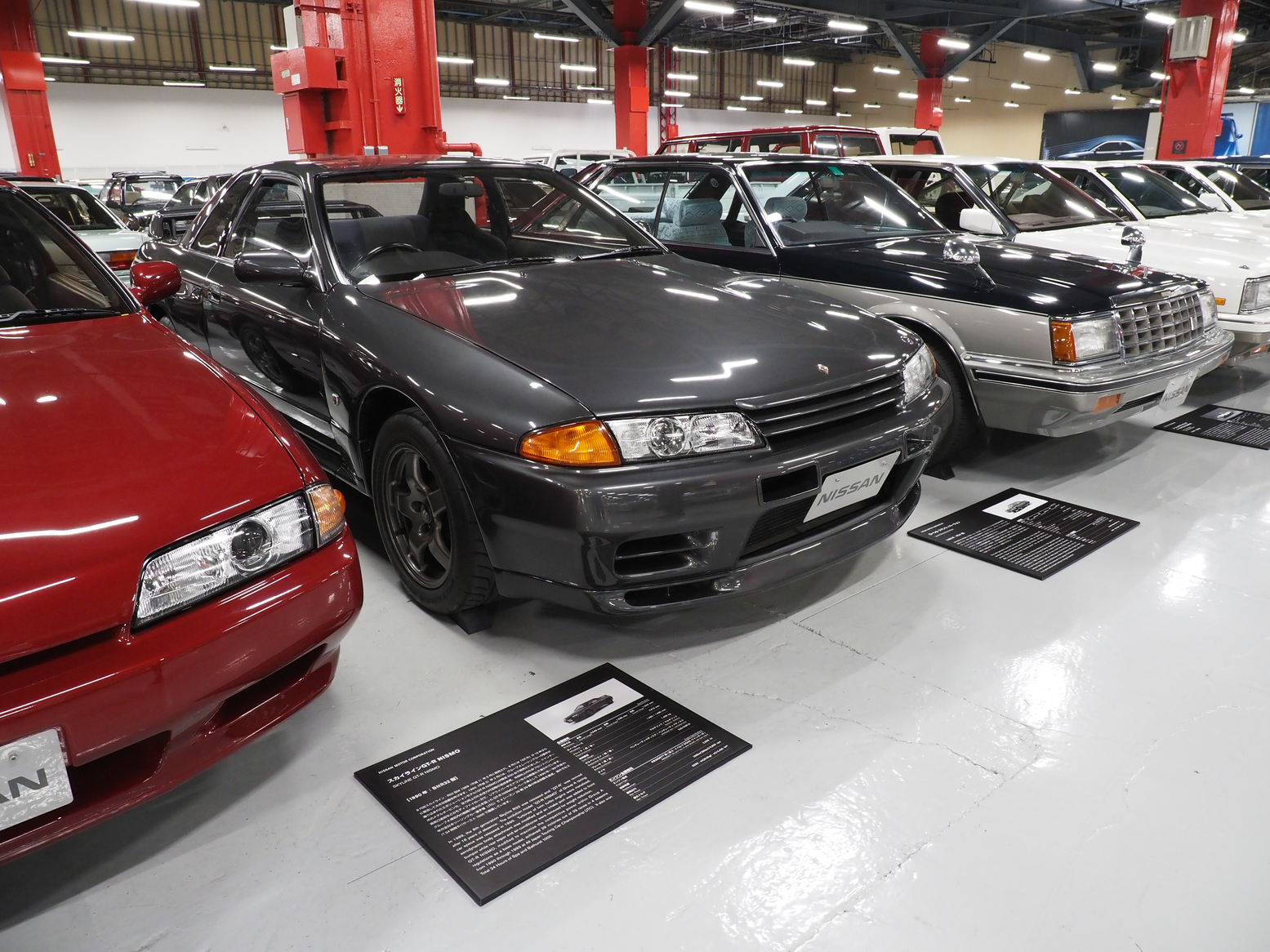P5190484.jpg