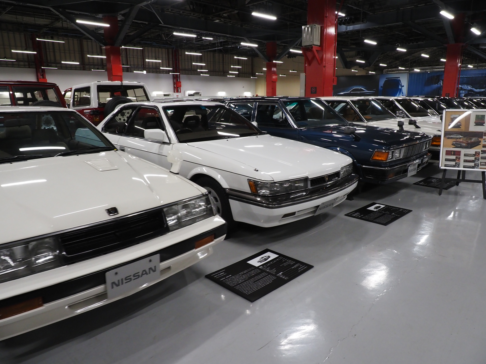 P5190485.jpg