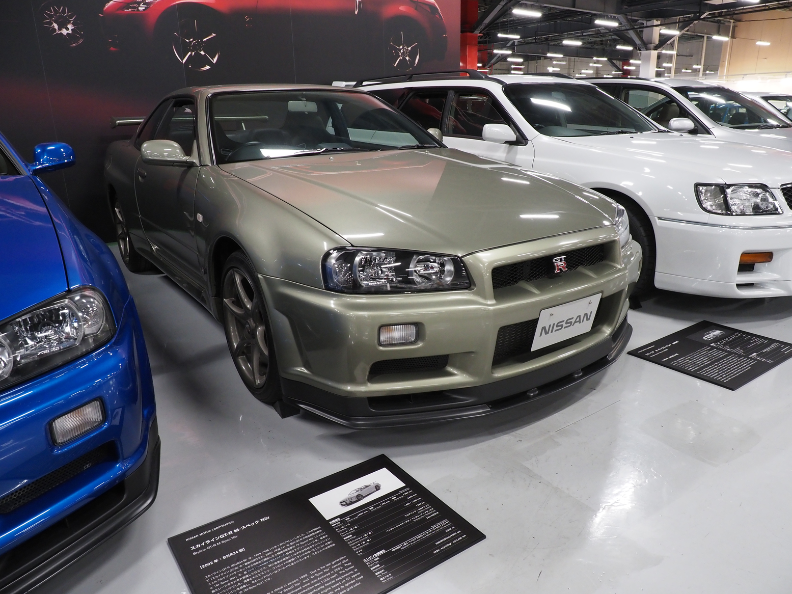 P5190496.jpg