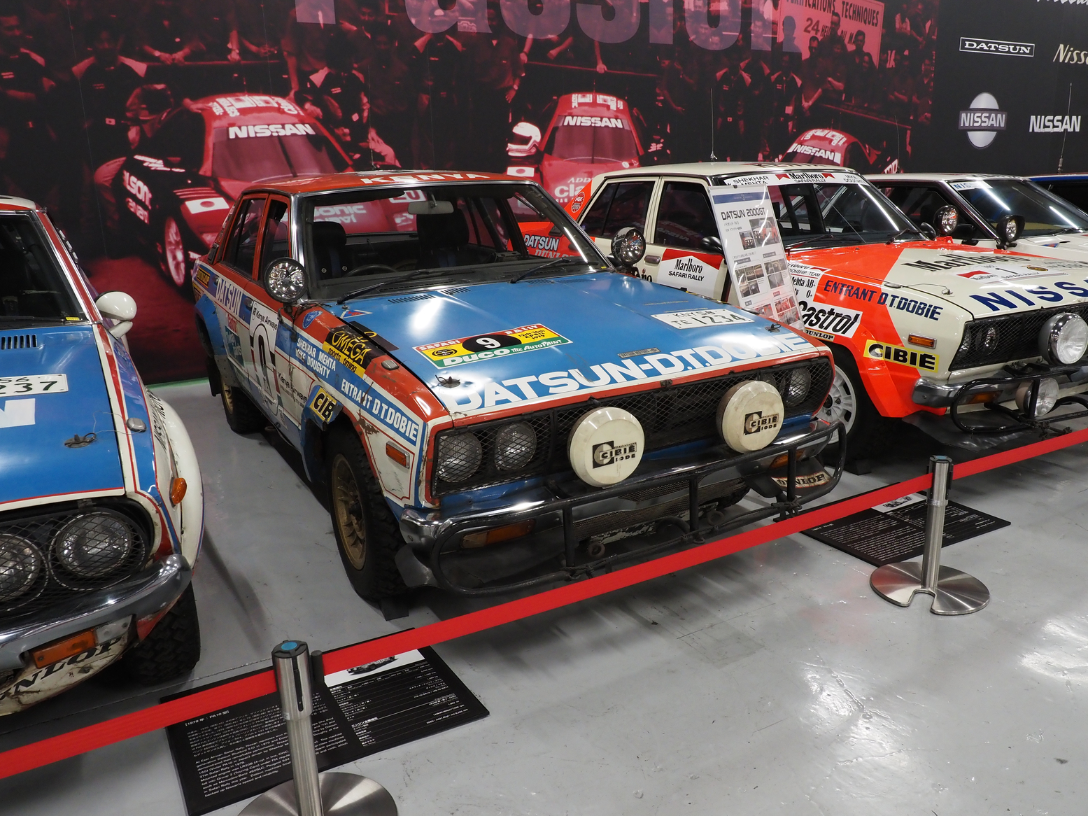 P5190504.jpg