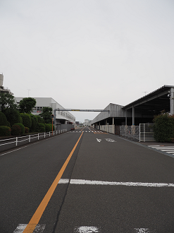 P5190560_thumb.png