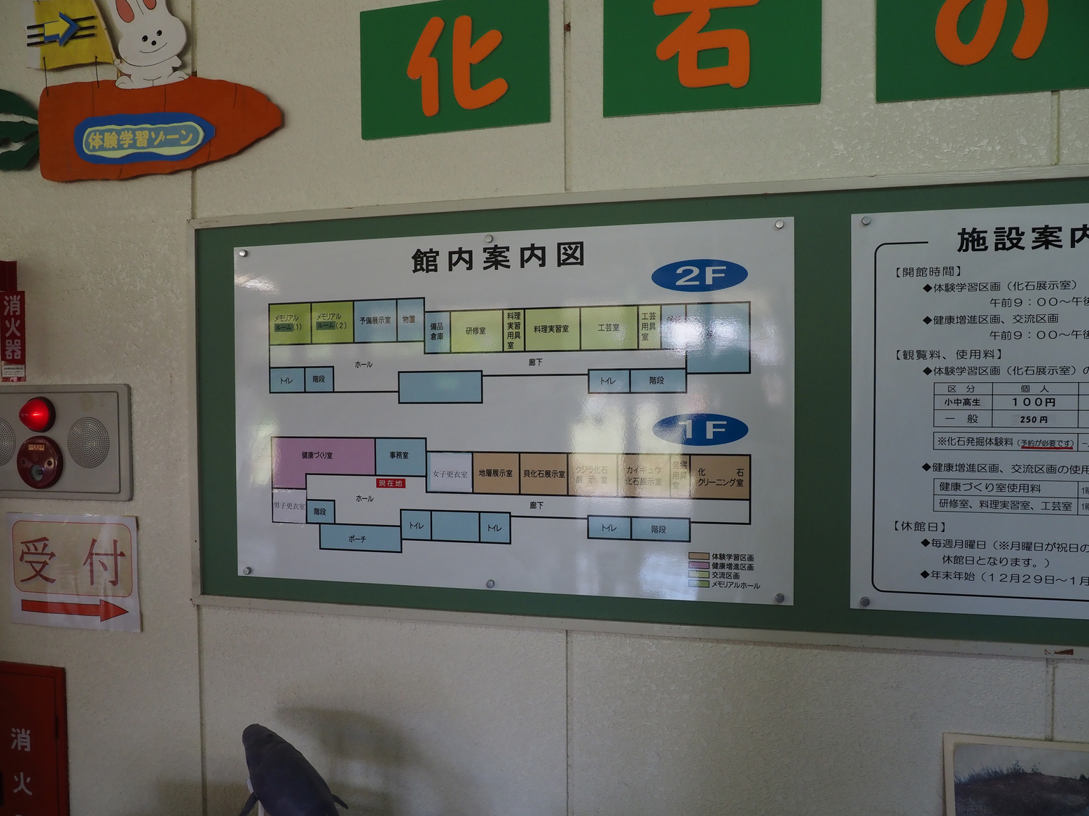 P5250645.jpg