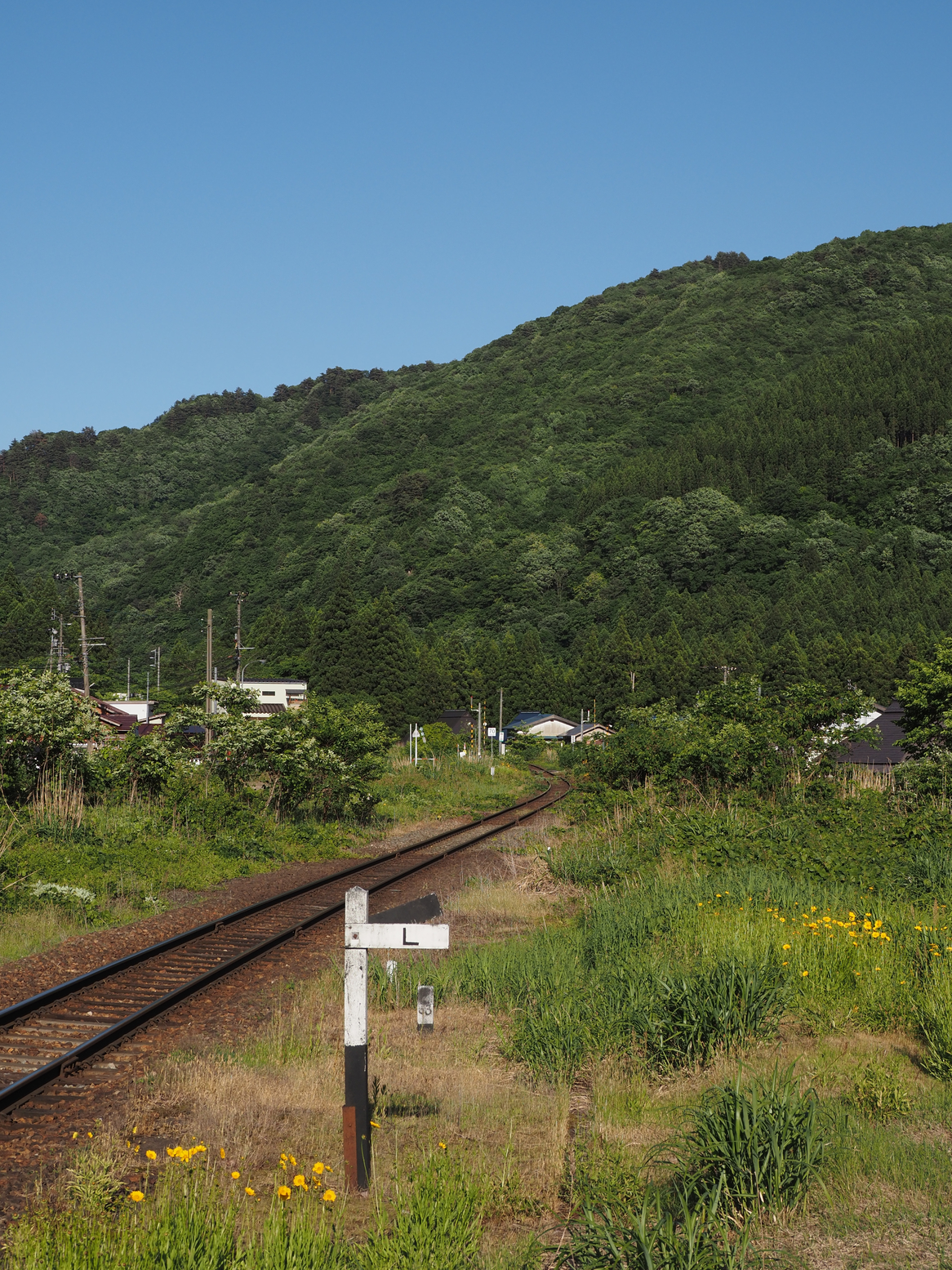P5250657.jpg