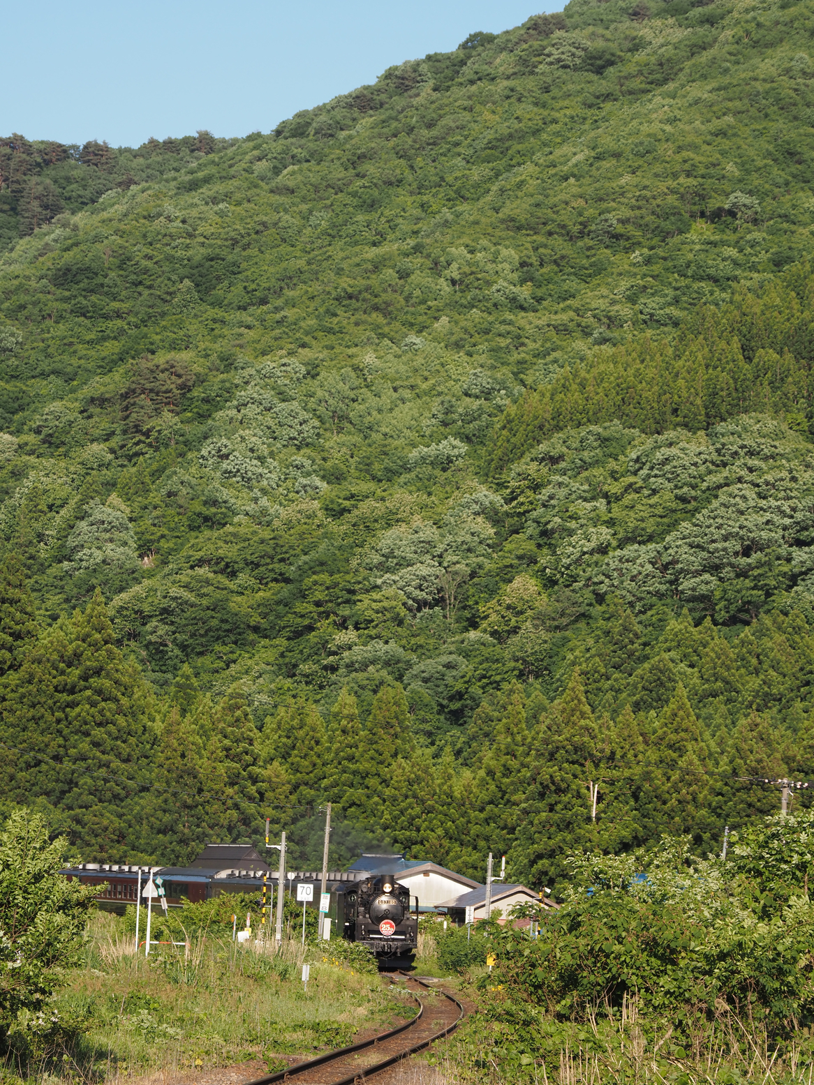P5250659.jpg
