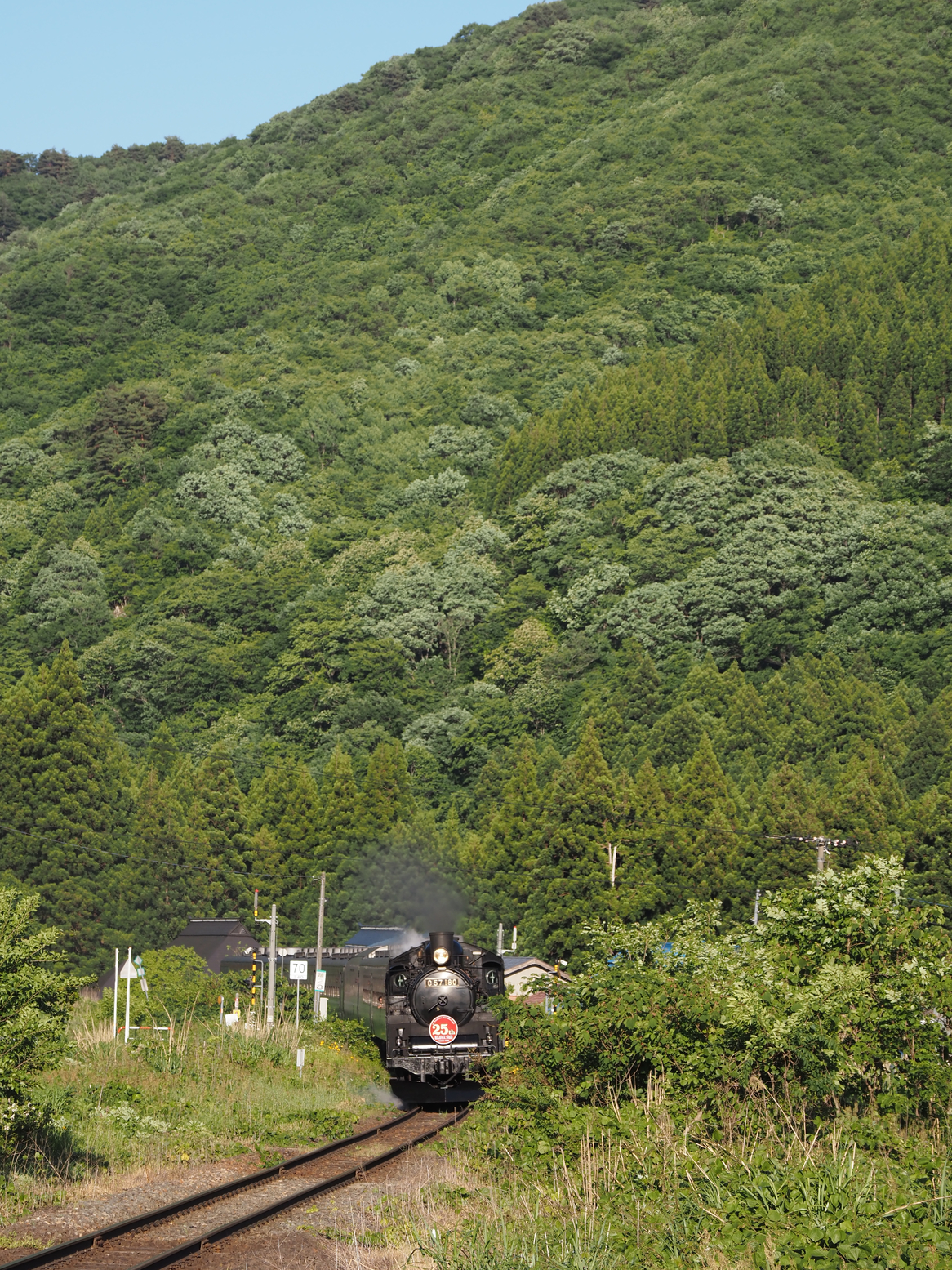 P5250672.jpg
