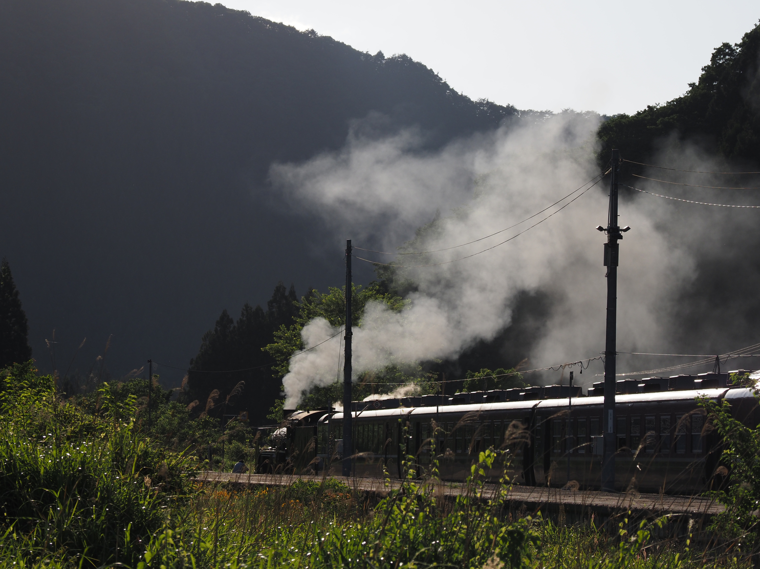 P5250699.jpg