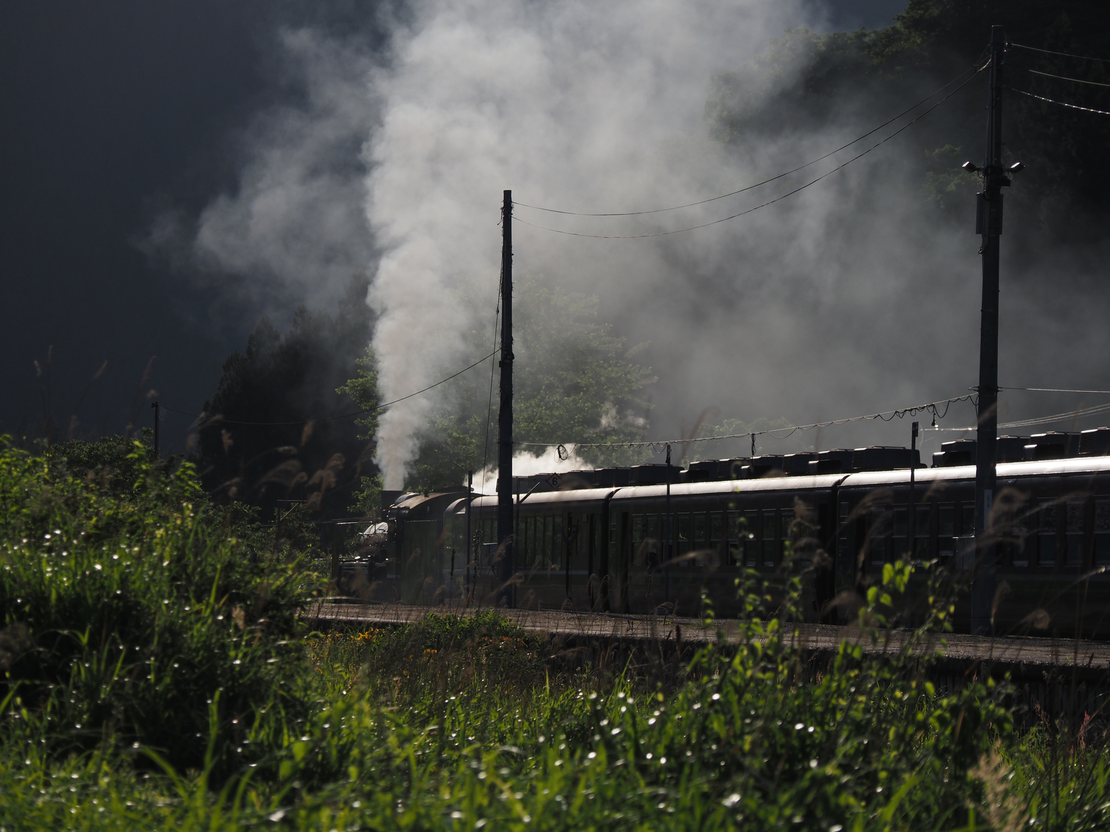 P5250704.jpg