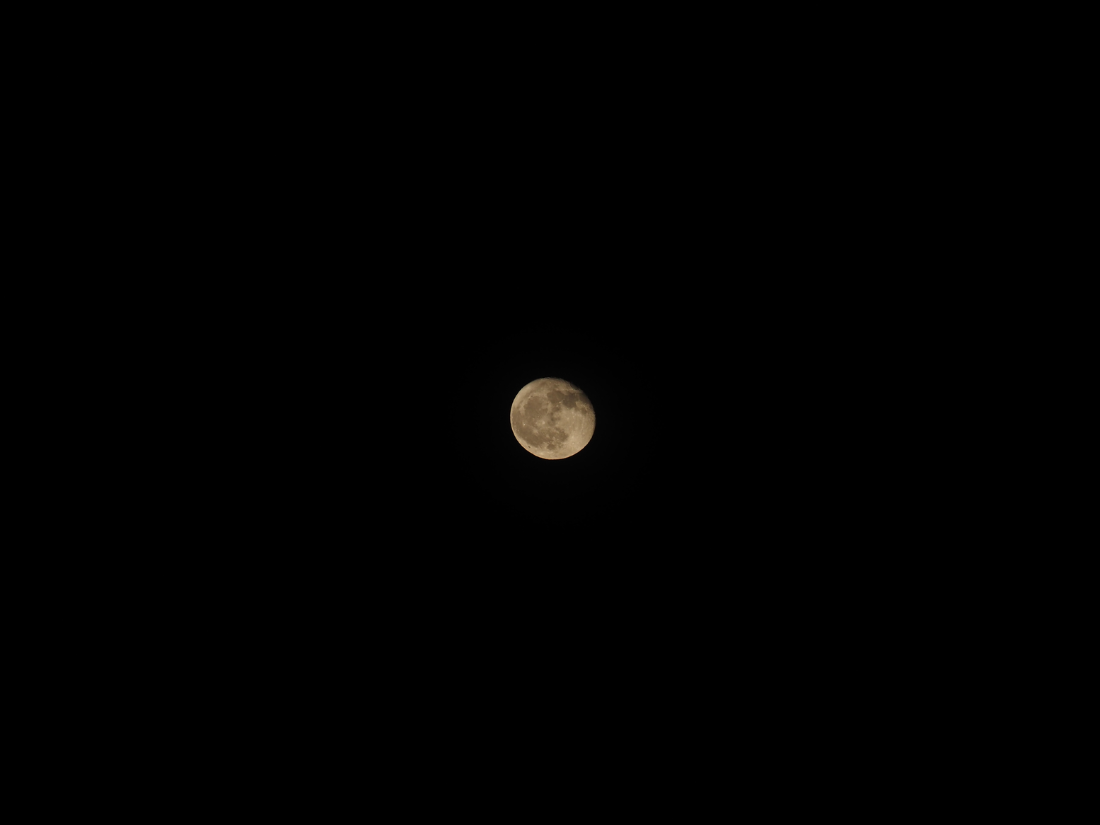 P5250737.jpg