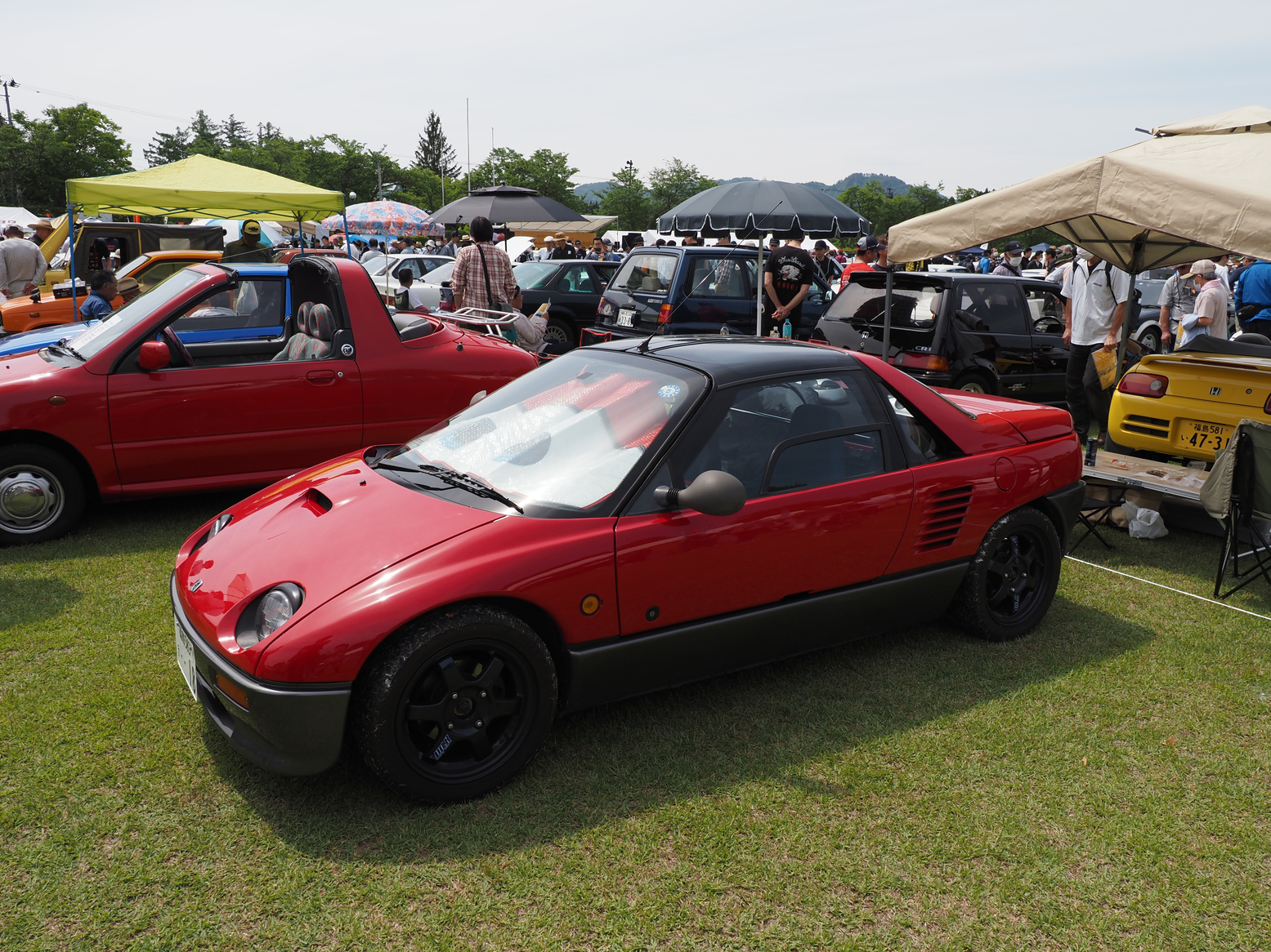 P5260831.jpg