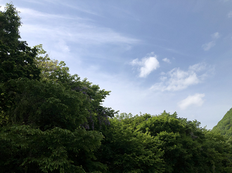 P5261109-030_thumb.png