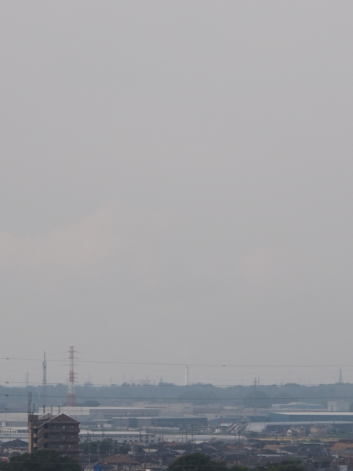 P6010032.jpg