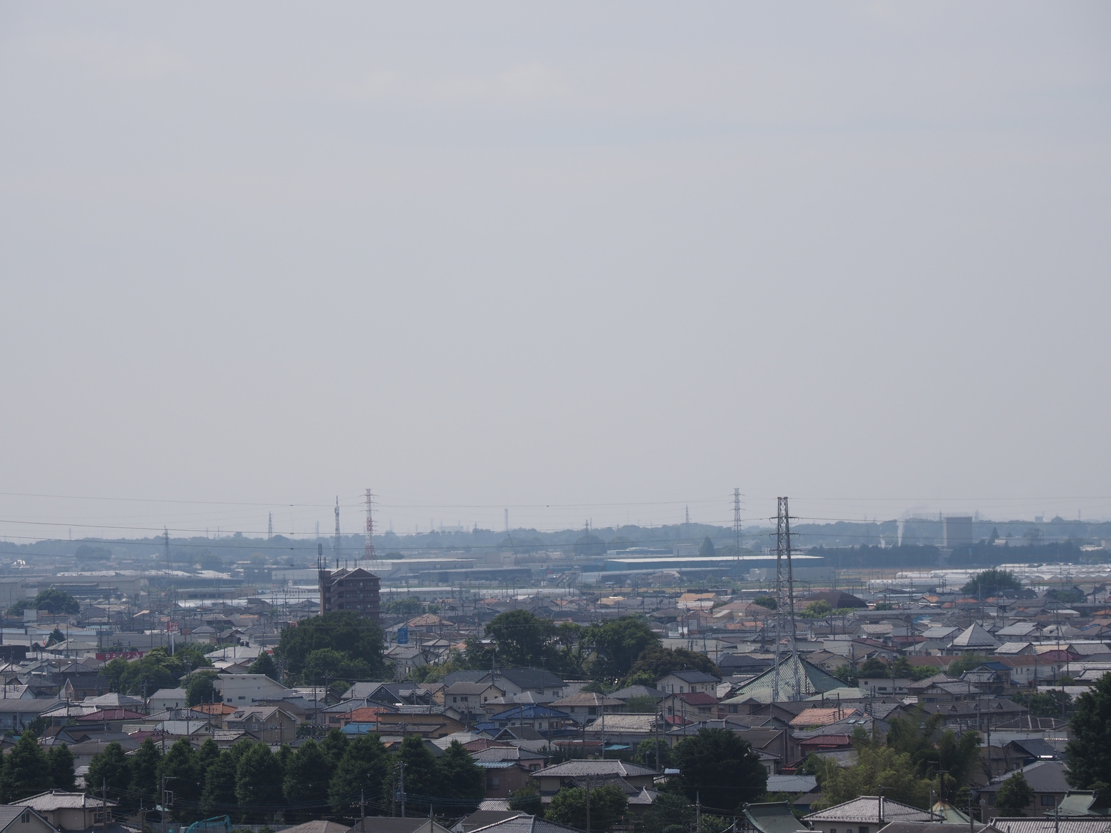 P6010111.jpg