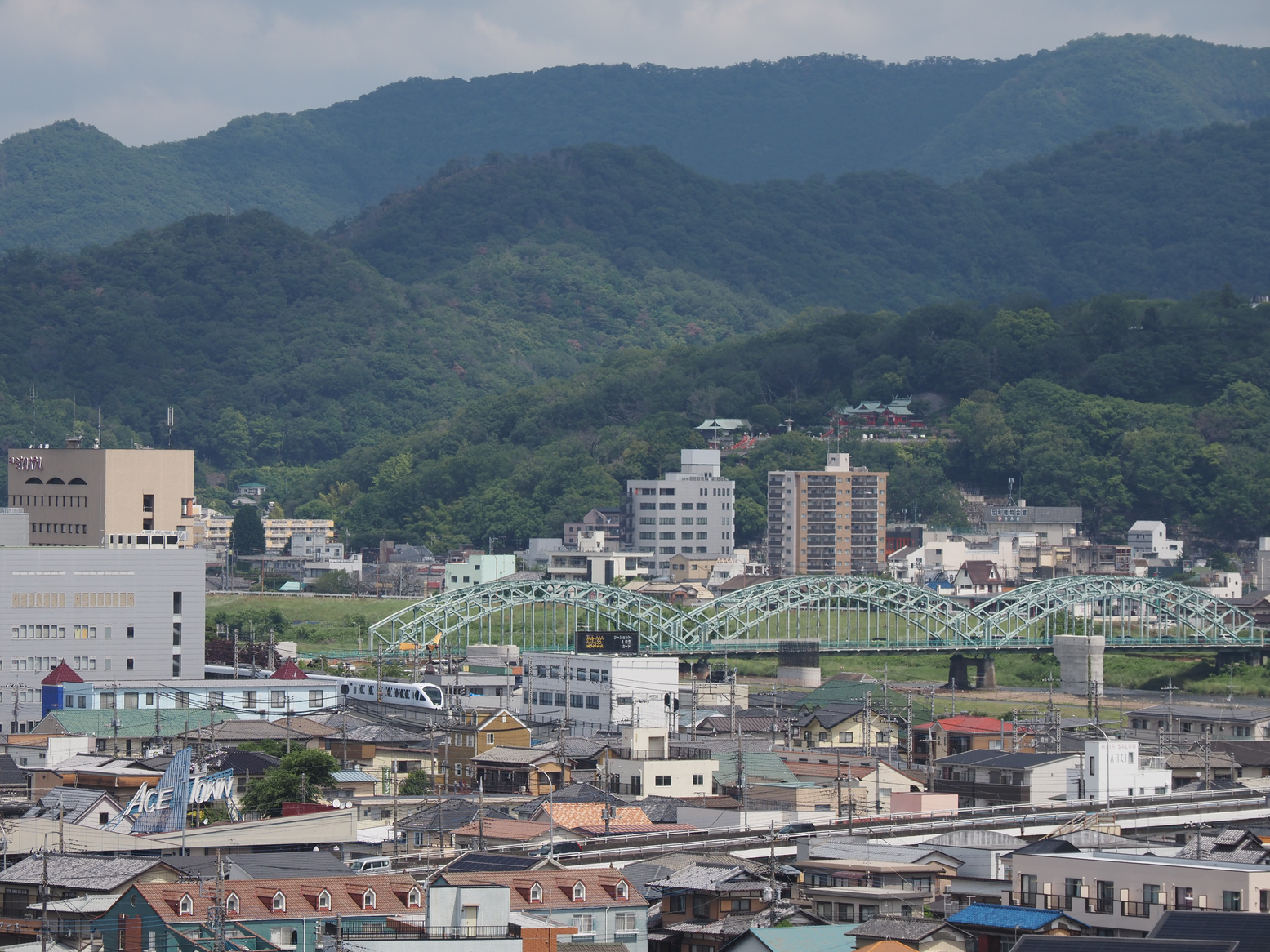 P6010203.jpg