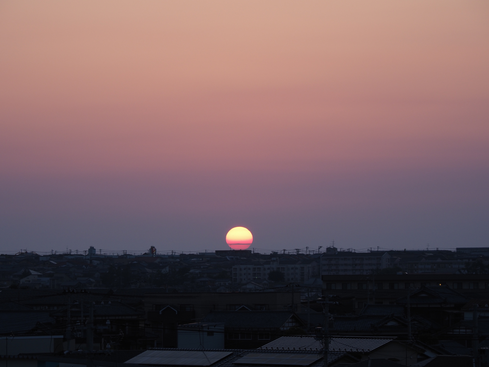 P6010236.jpg