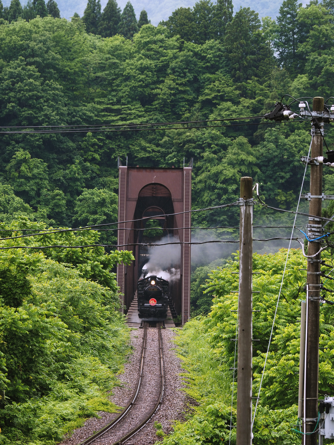 P6020390.jpg