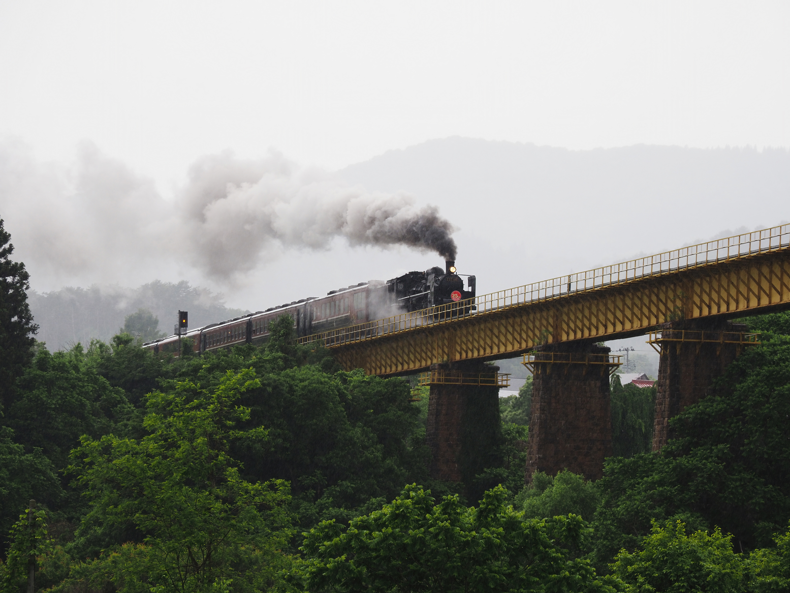 P6020437.jpg