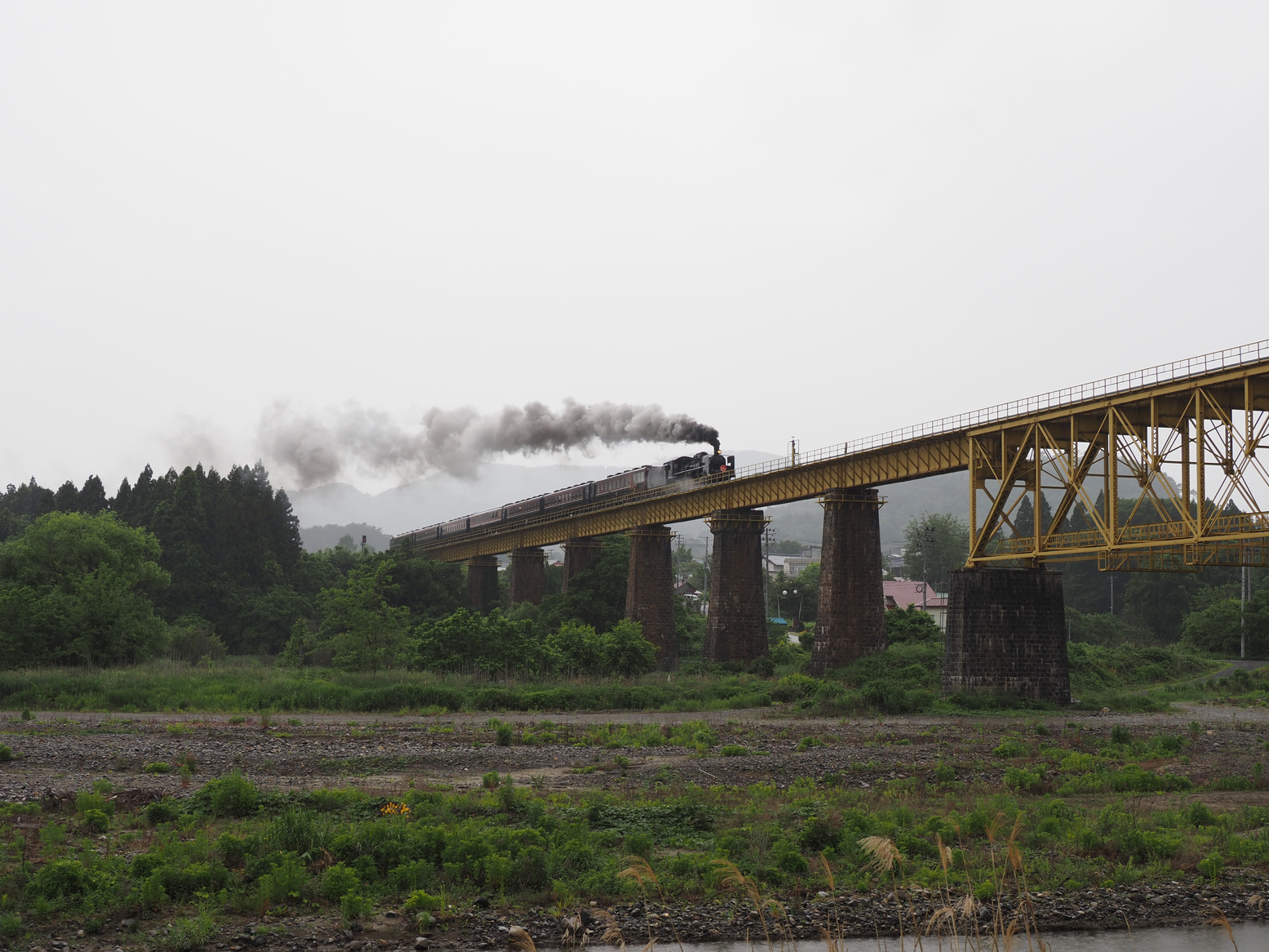 P6020444.jpg
