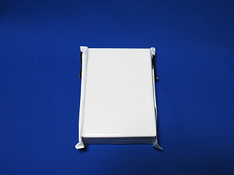 P6100504_thumb.png