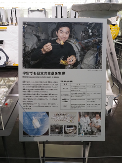 P6220122_thumb.png