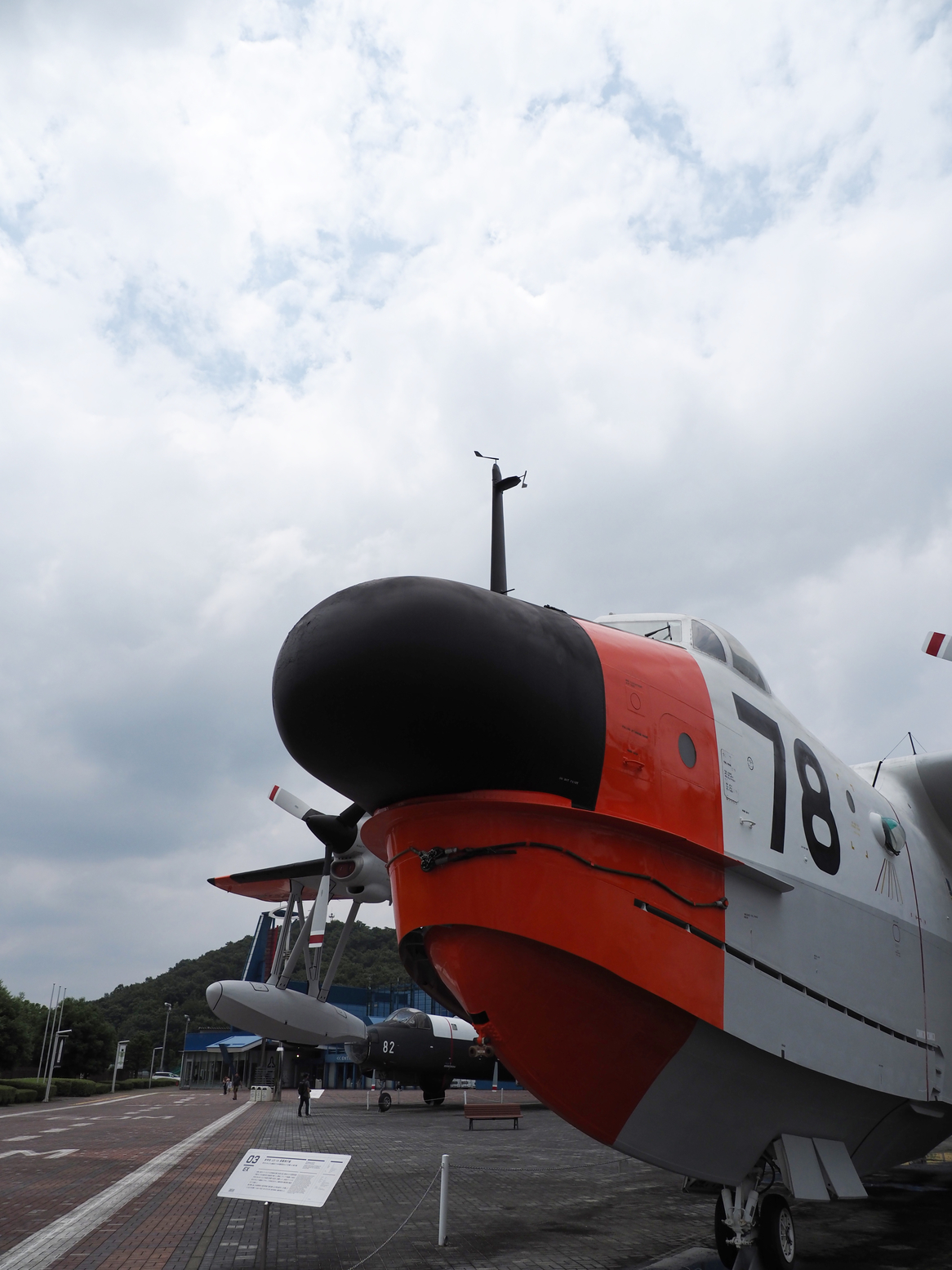P6220183.jpg