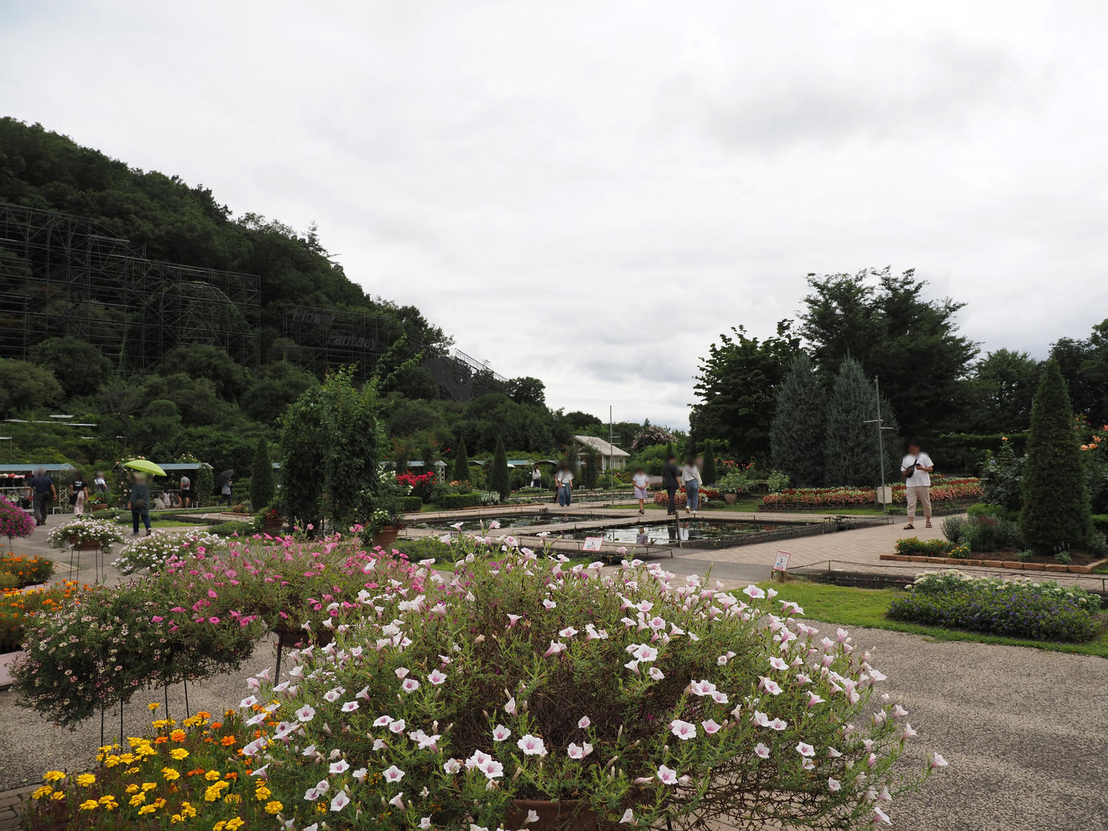 P7150474.jpg