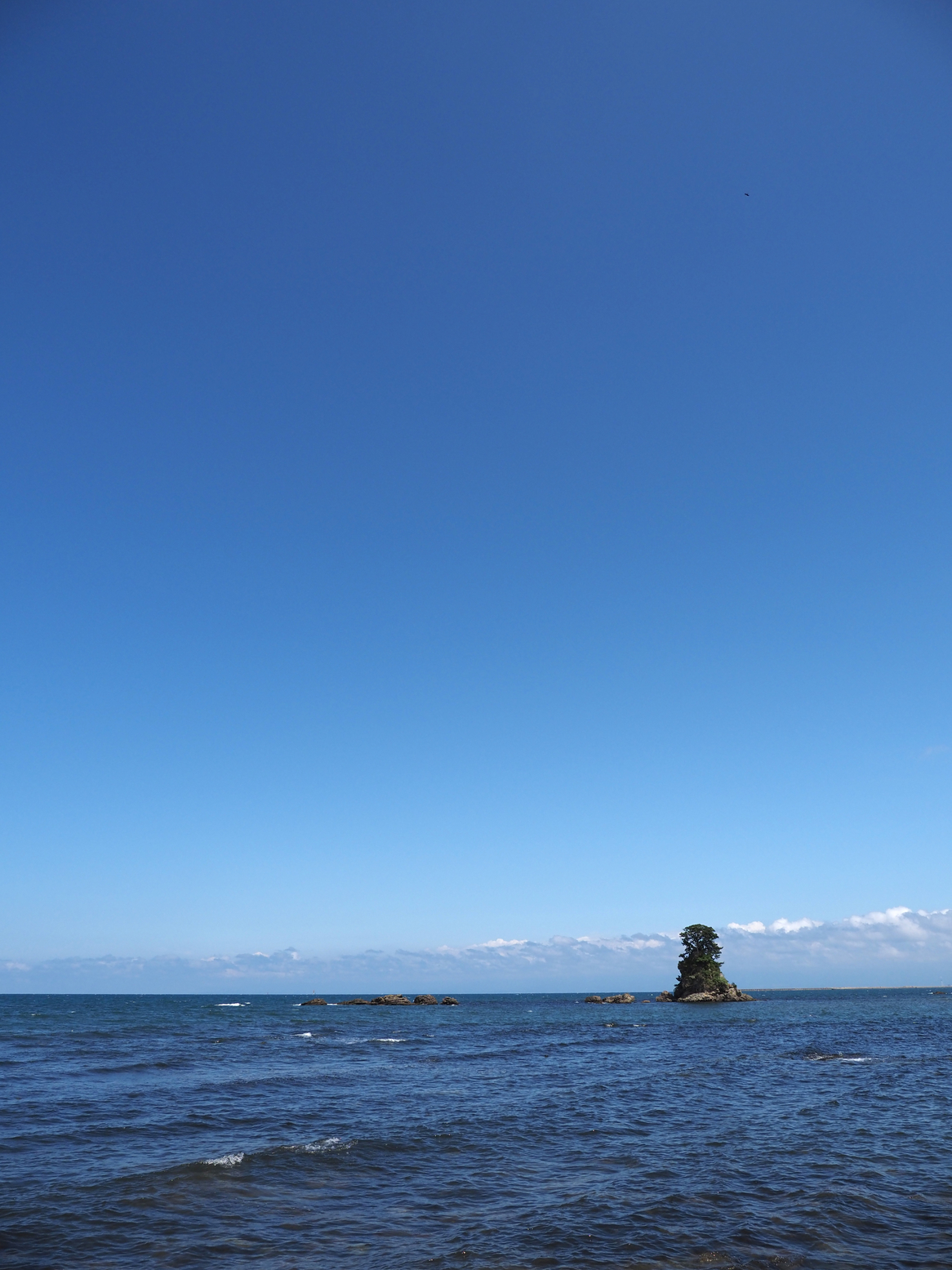 P8101011.jpg