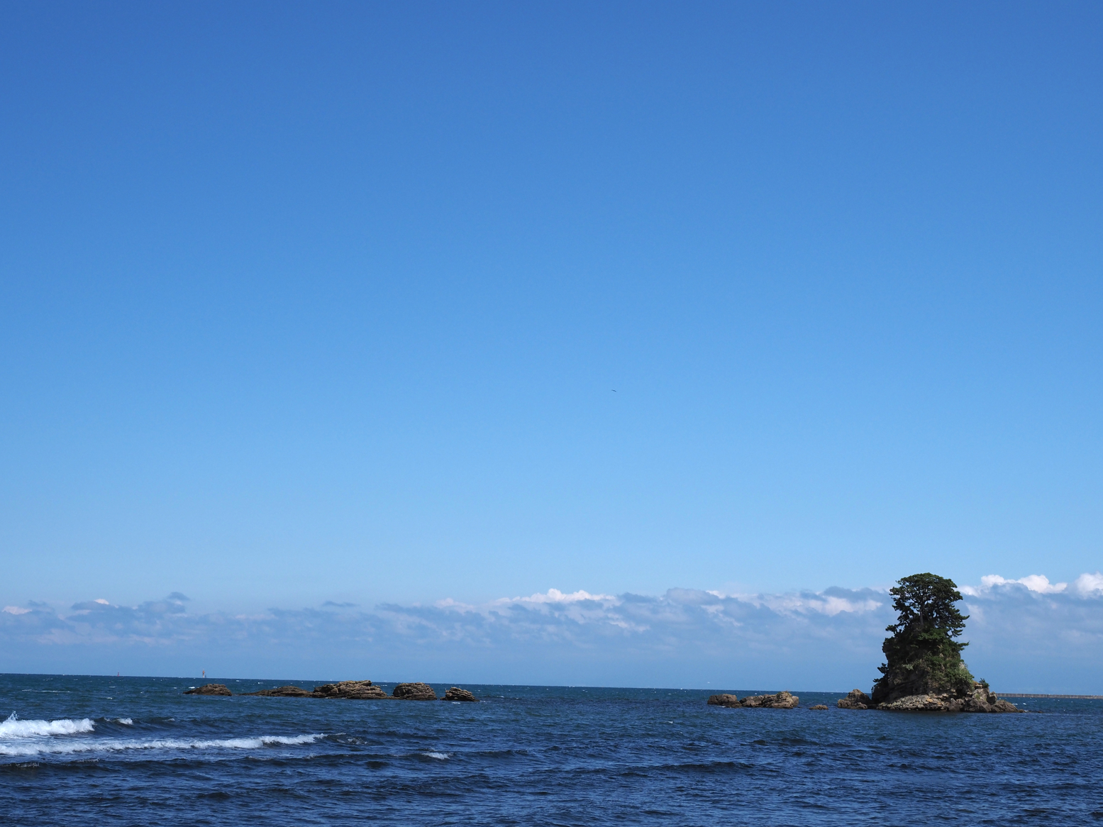 P8101013.jpg