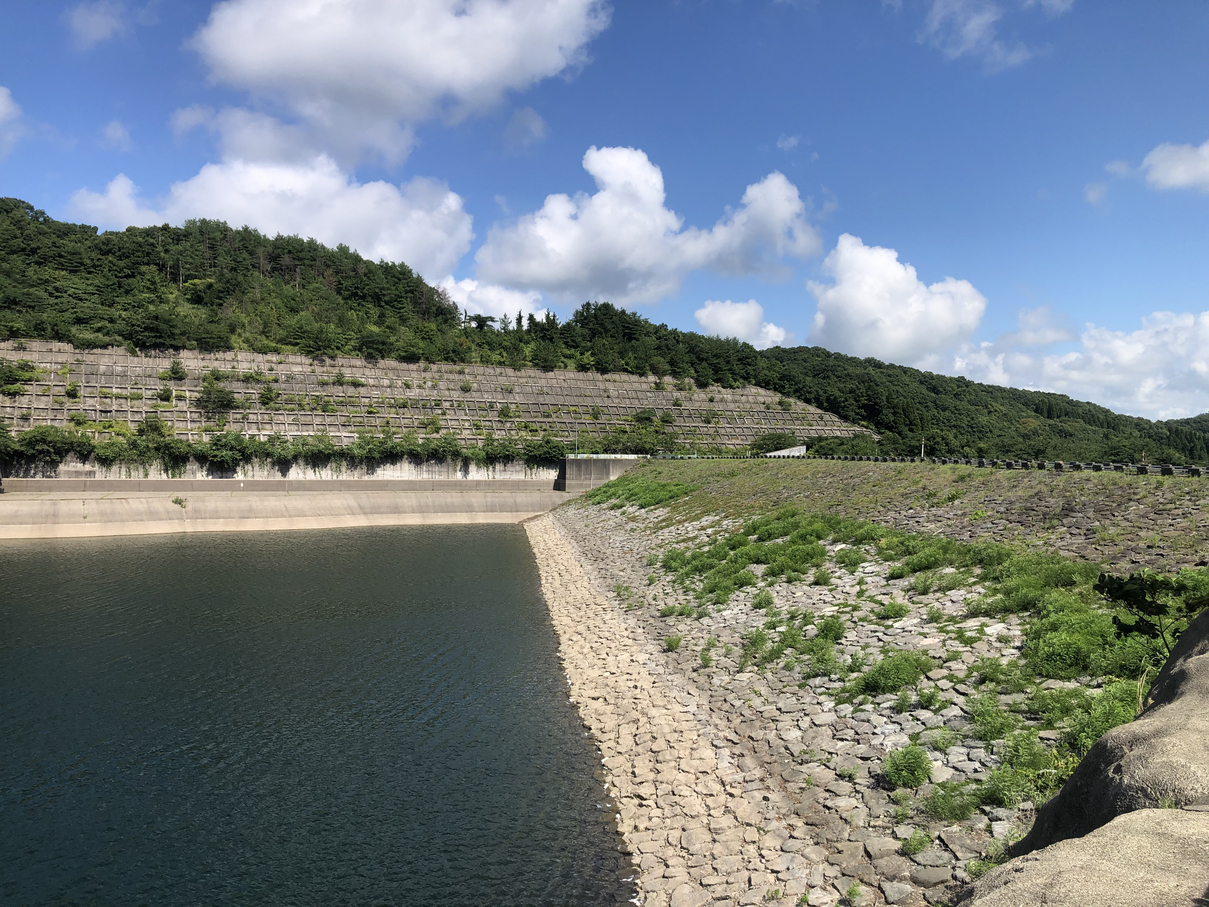 P8101024-006.jpg