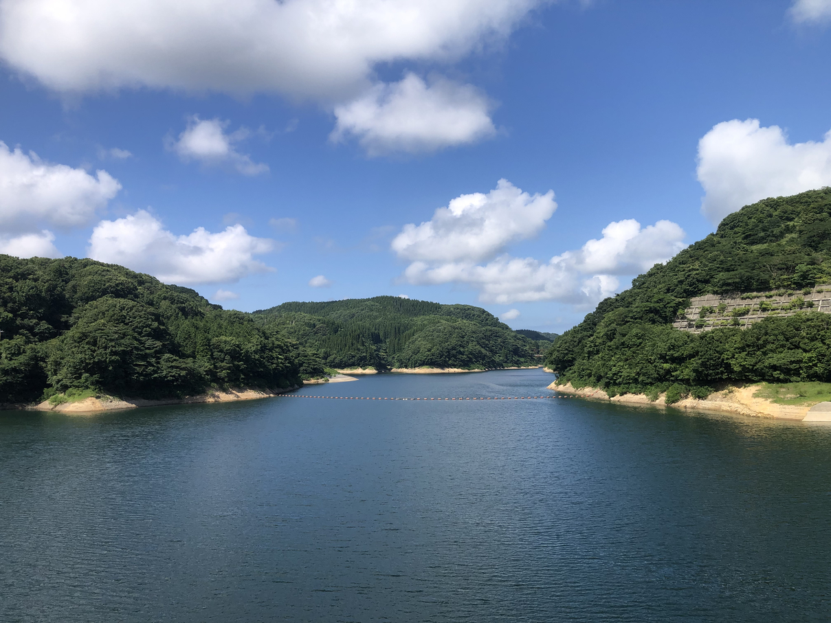 P8101024-008.jpg