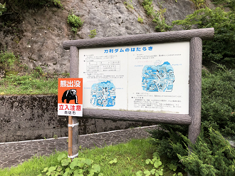 P8101024-036_thumb.png