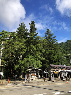 P8101024-110_thumb.png
