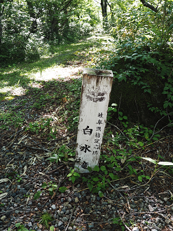 P8111026_thumb.png