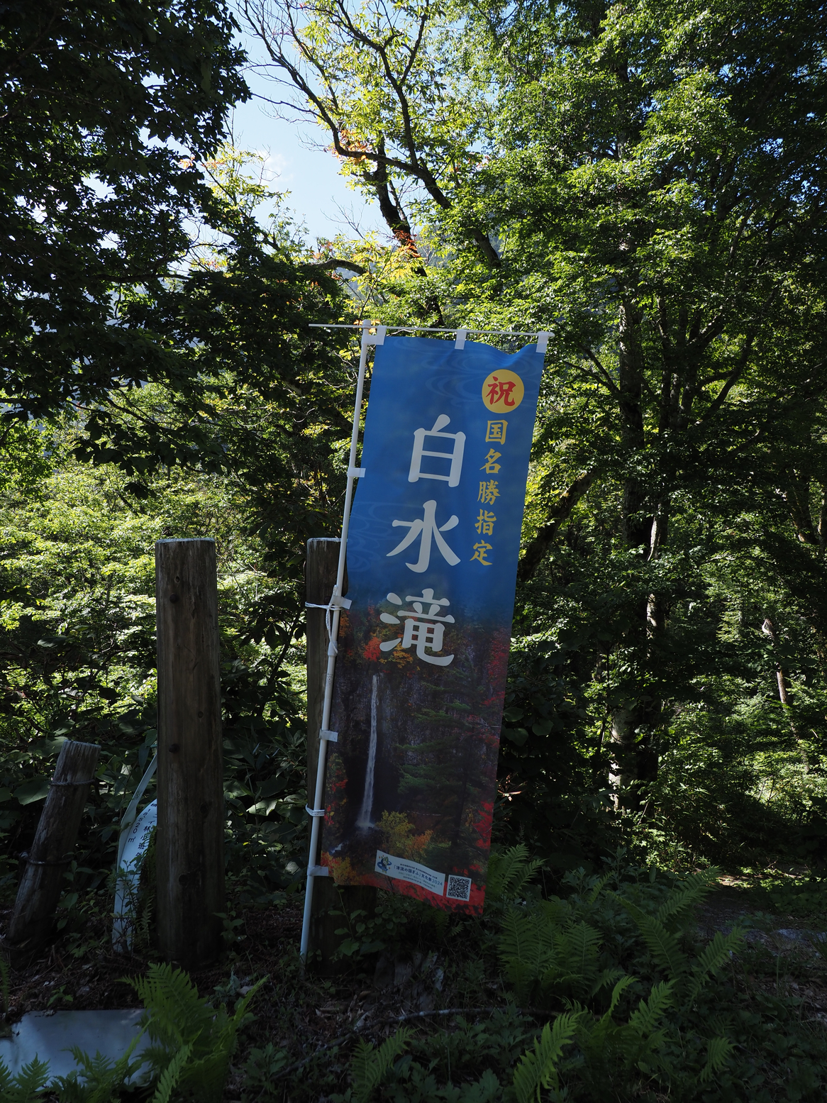 P8111046.jpg