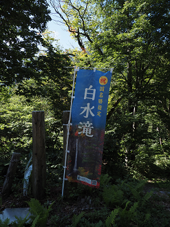 P8111046_thumb.png