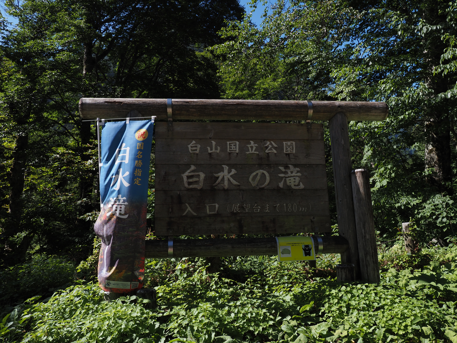 P8111047.jpg