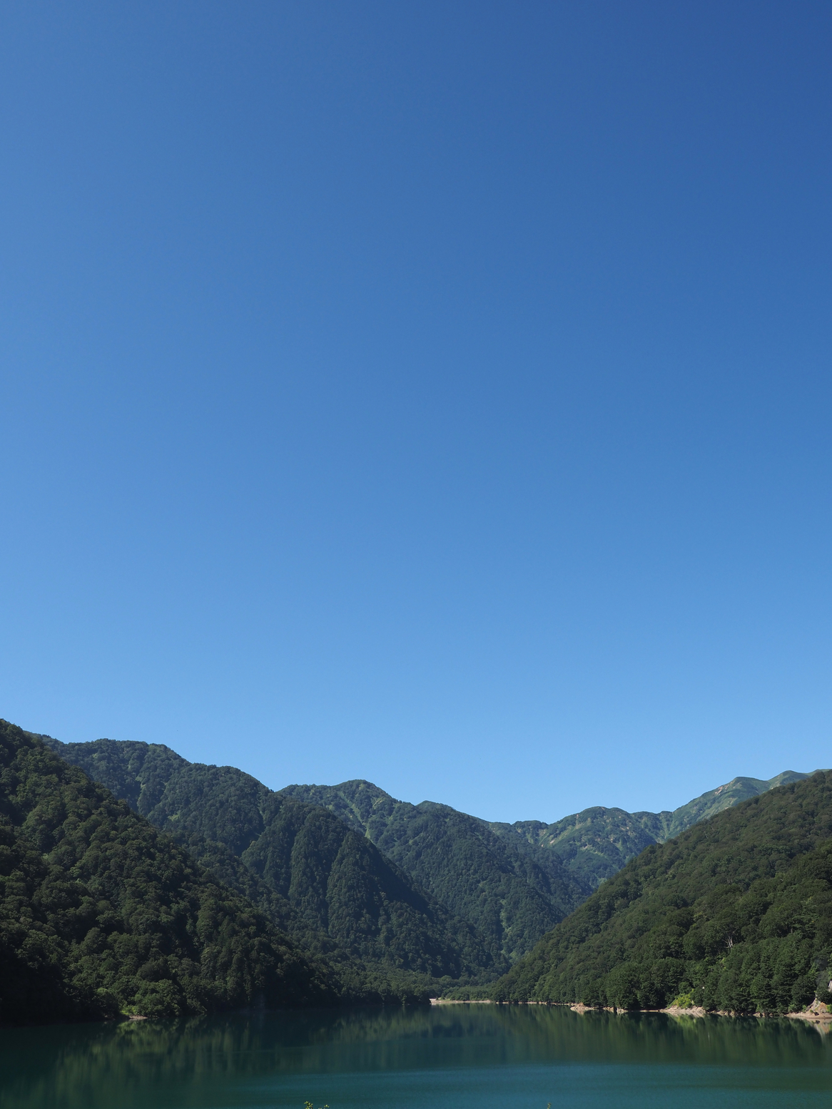 P8111053.jpg