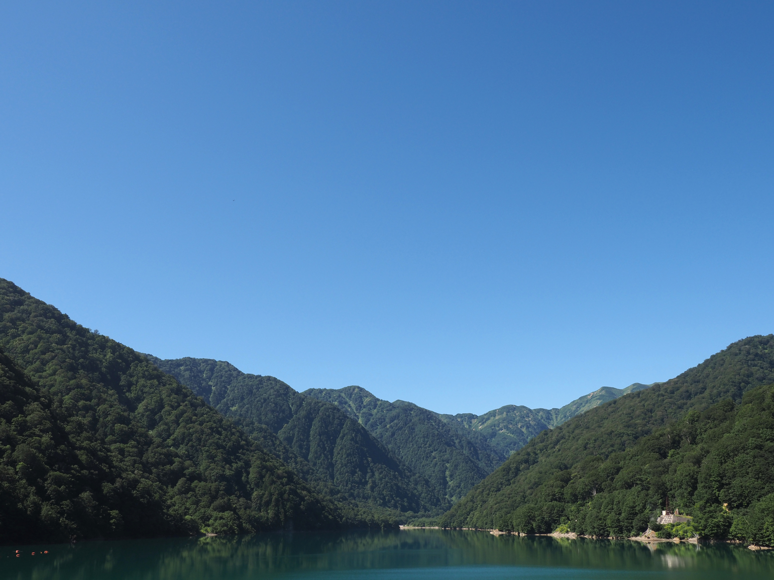 P8111054.jpg