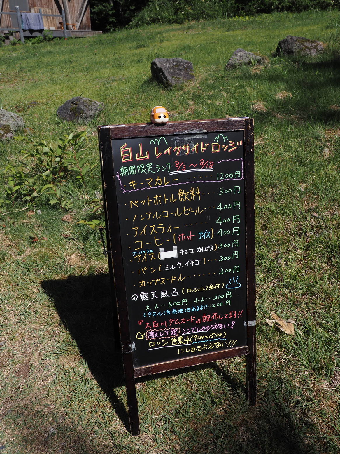 P8111058.jpg