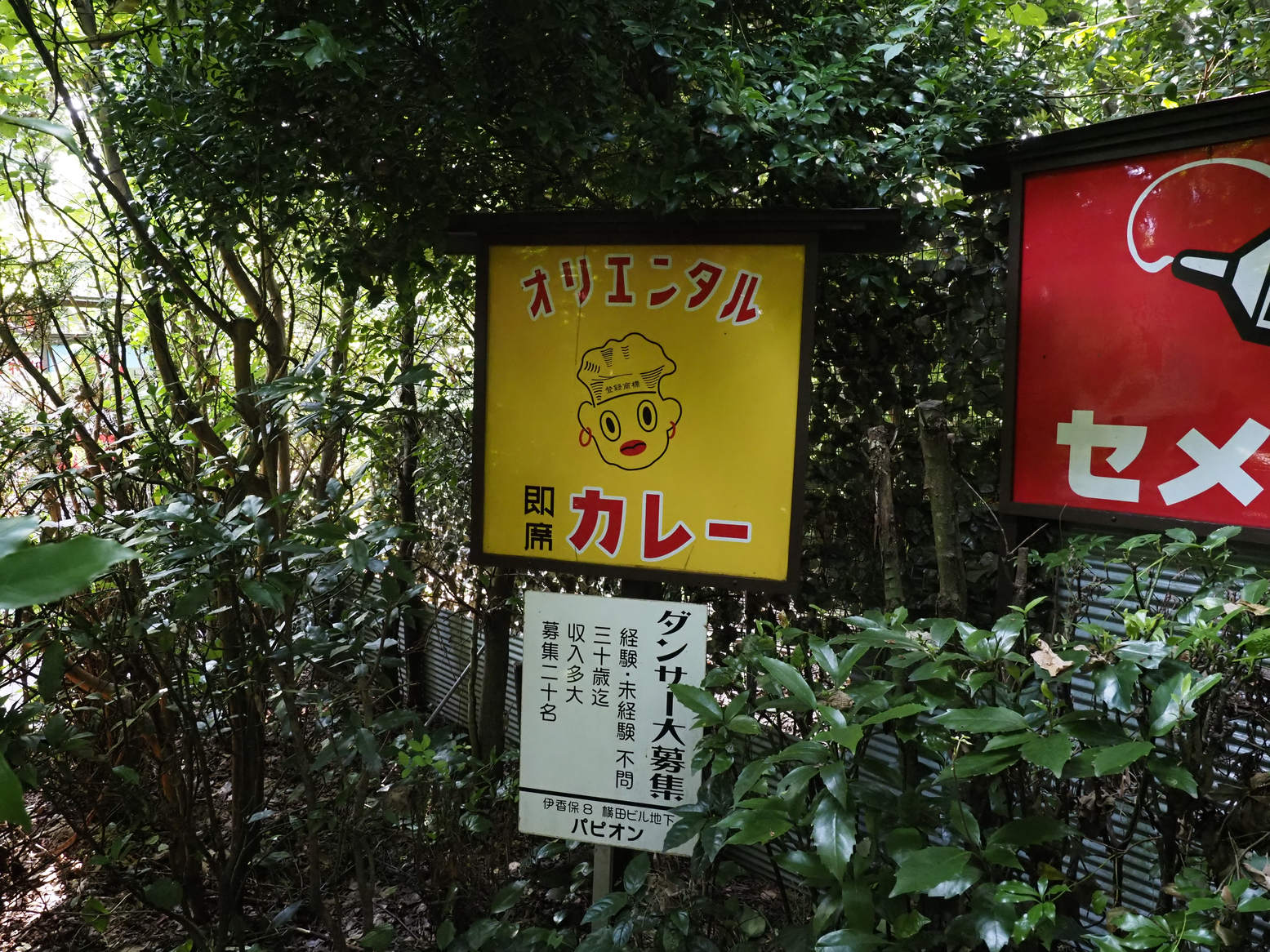 P9071385.jpg