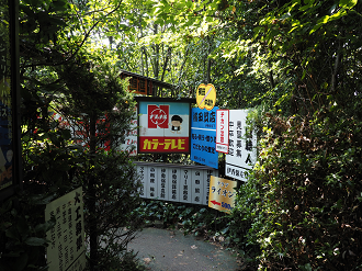 P9071386_thumb.png