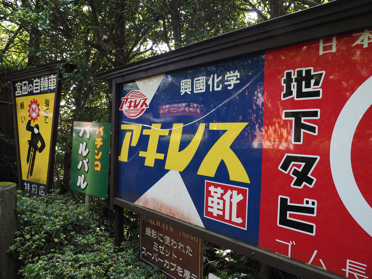 P9071387.jpg