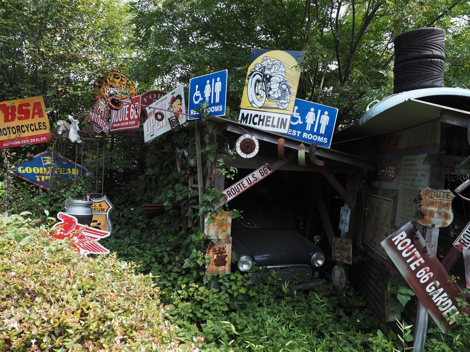 P9071407.jpg