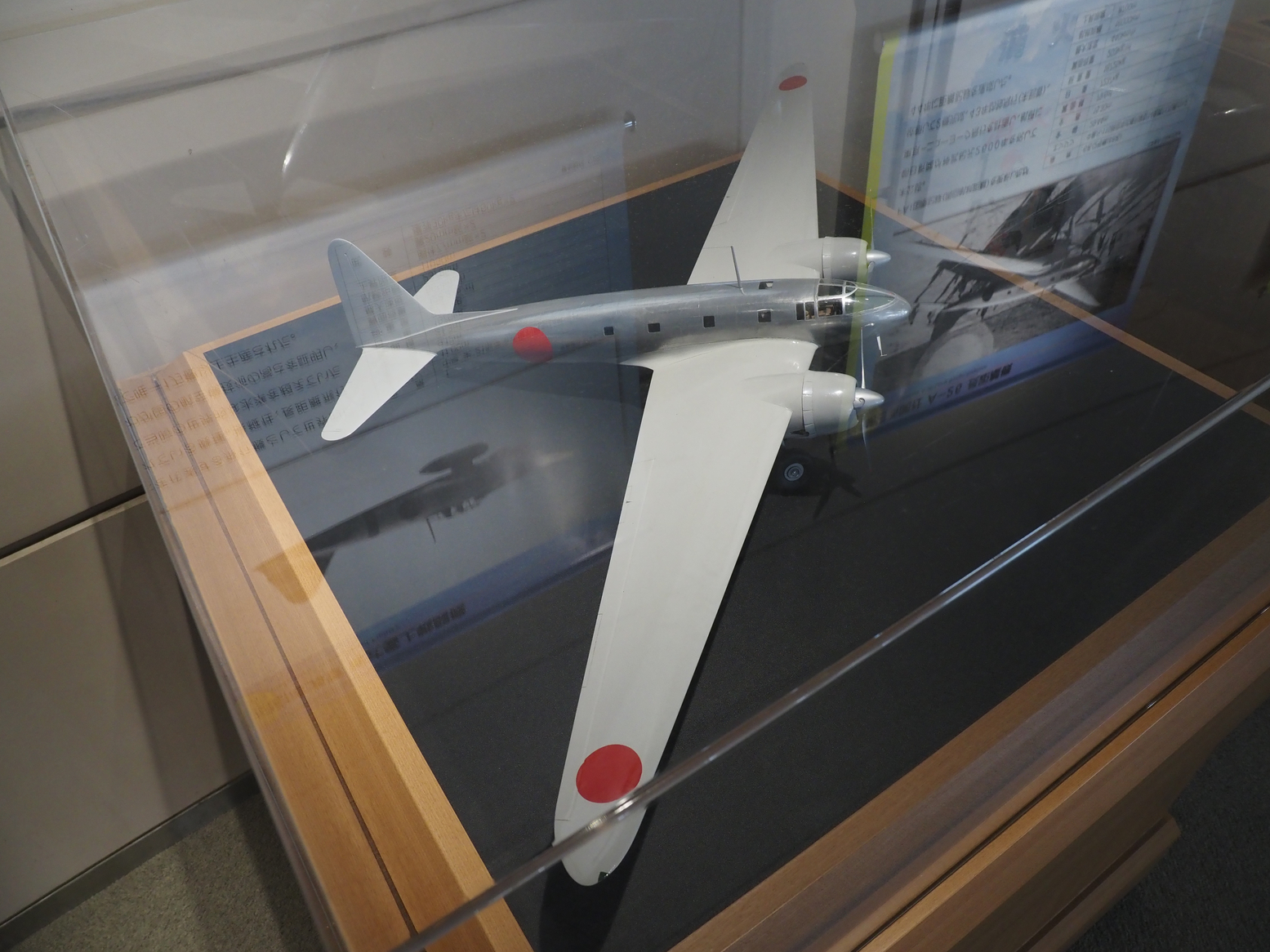 P9081587.jpg
