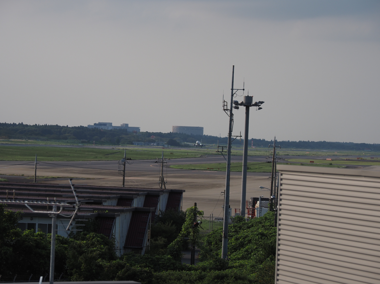 P9081607.jpg