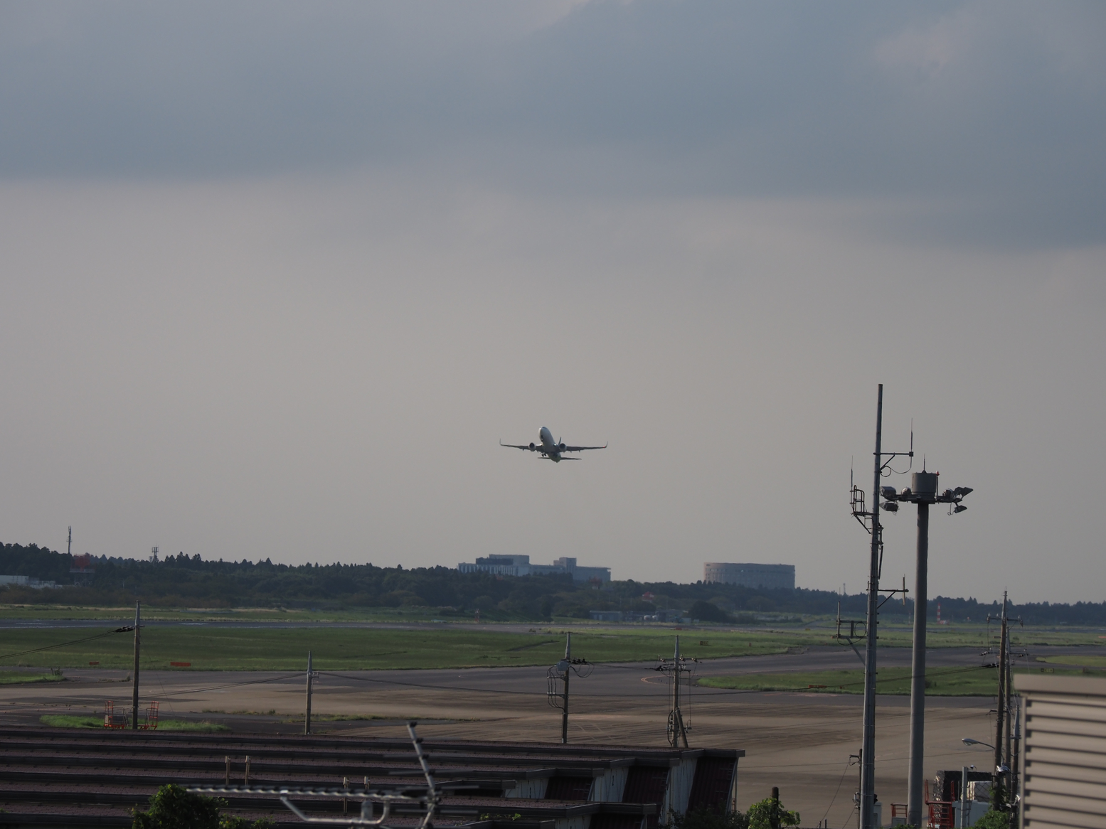 P9081613.jpg