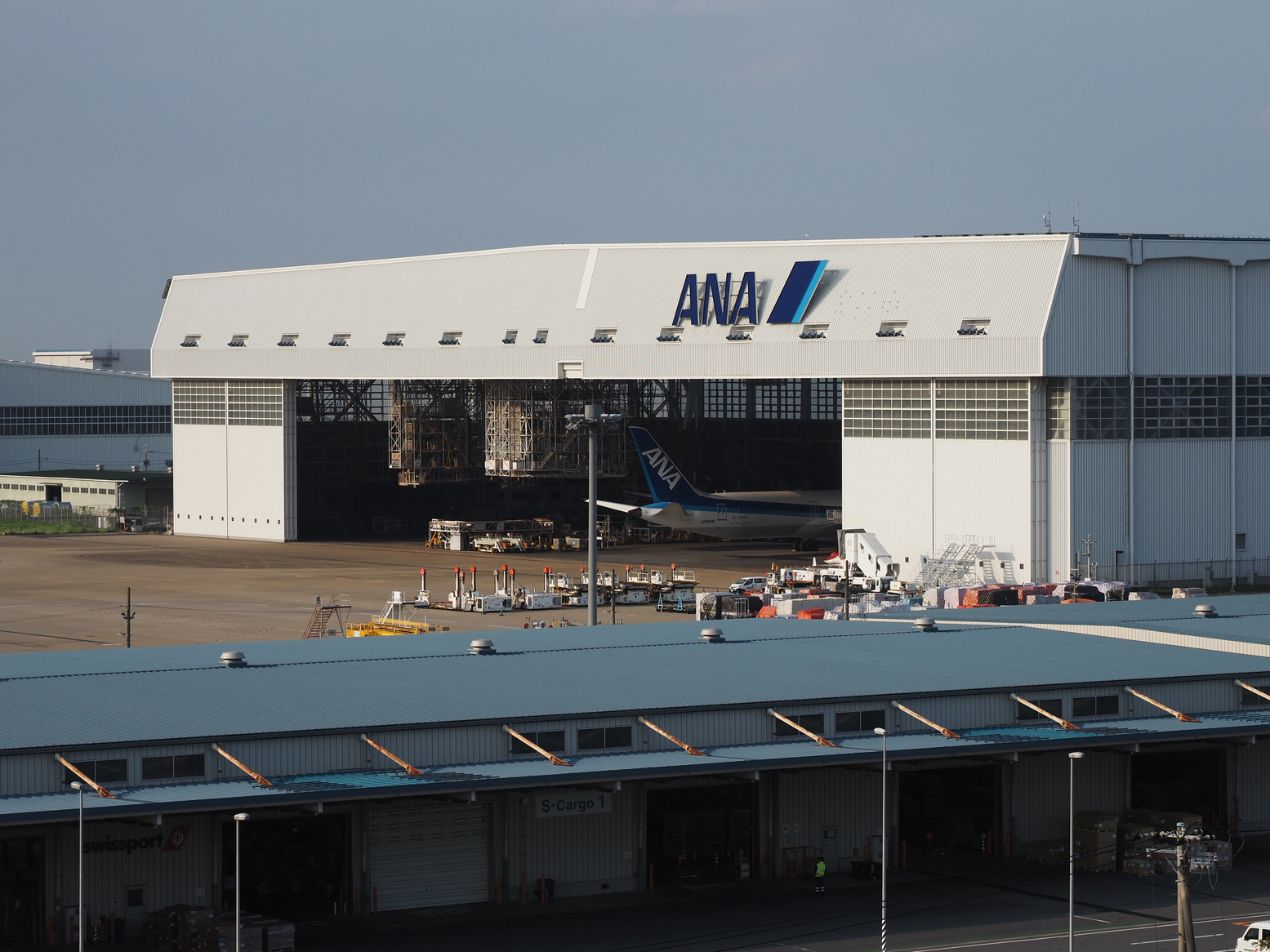 P9081675.jpg