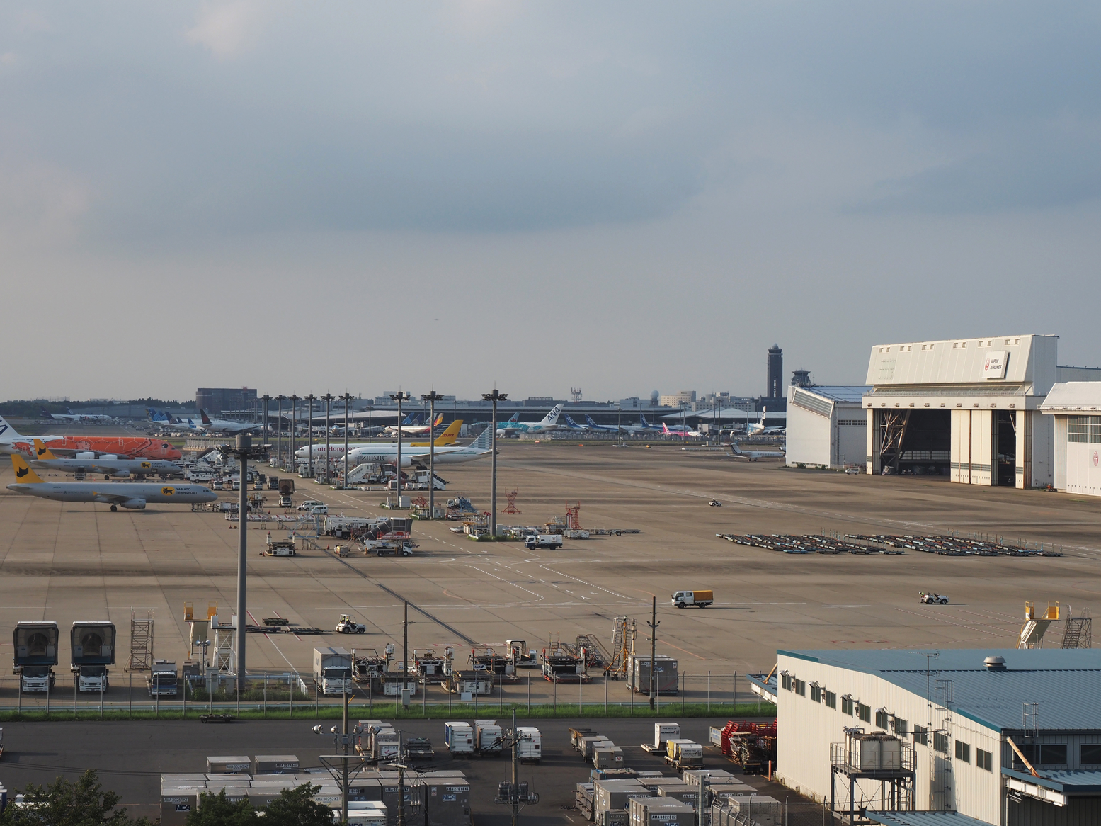 P9081677.jpg