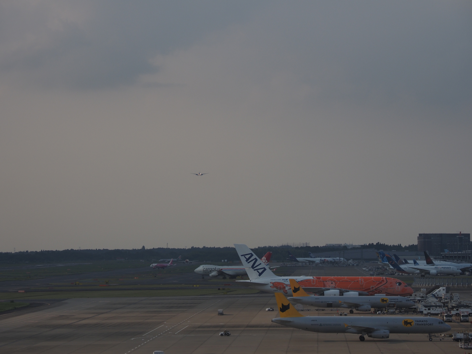 P9081710.jpg