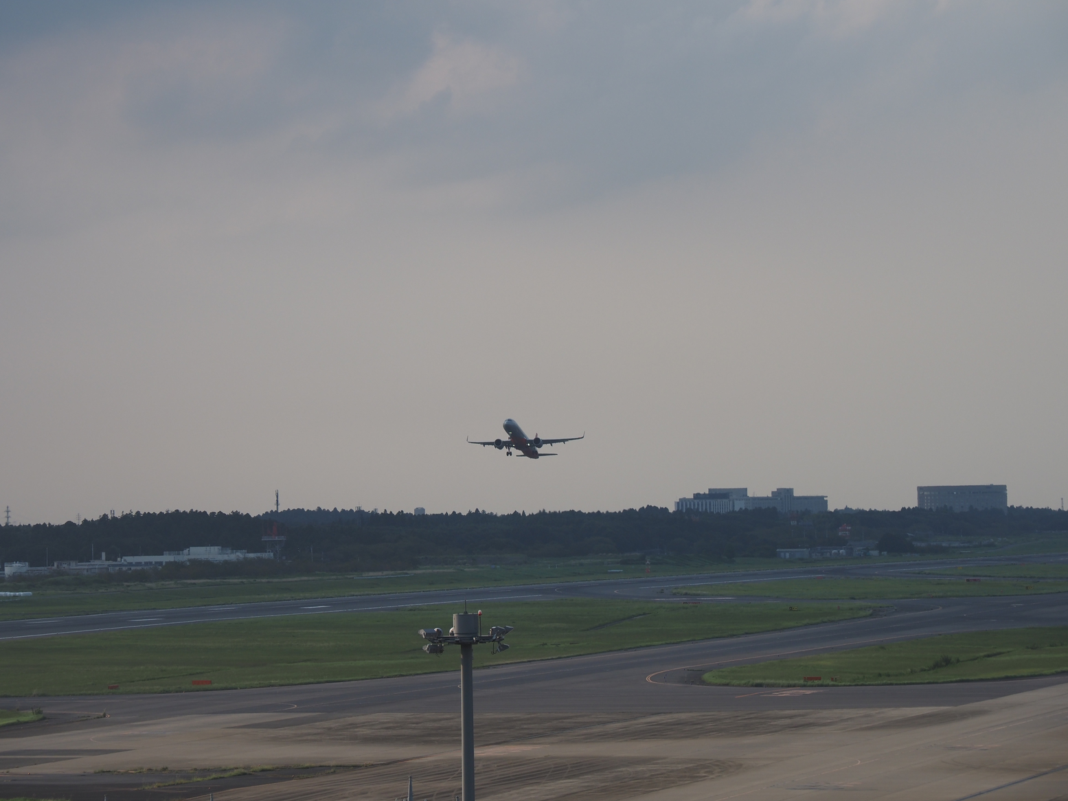 P9081762.jpg
