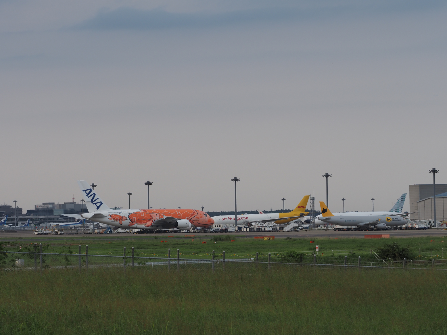 P9081877.jpg